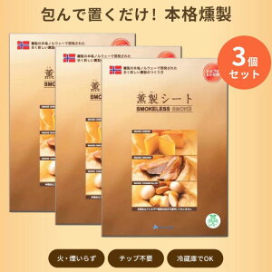 薫製シート 58×100cm 3個セット 食品材料 簡単 燻製 キット ギフト スモーカー 室内 お手軽 簡単 マンション アパート 室内 キャンプ用品
