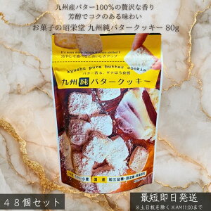 َq̏h Bo^[NbL[ 80g ×48Zbg  BY o^[gp Yf TNTN NbL[ Ăَq  Mtg v[g  Ƒp q̂ eB[^C 