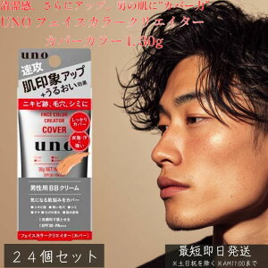 UNO E[m tFCXJ[NGC^[ Jo[J[ L 30g ×24Zbg  Y BBN[ SPF30 PA+++ jp ϕi F␳ Ђ jLr Jo[ N} F