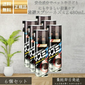 Xv[lY~Z 480mL ×6Zbg  lY~Xv[ AVRn[u mYt V䗠  u Ή { lY~Nh~ ƒp 쏜 gbvł͂Ȃ