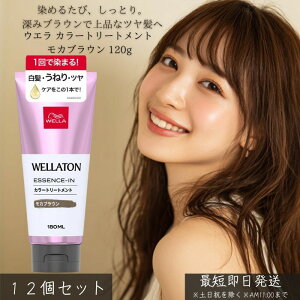 EG J[g[gg JuE 120g ×12Zbg wAJ[ ڂ c PA ݃uE FC Ƃ܂Ƃ܂ g[gg J[PA ZPA 