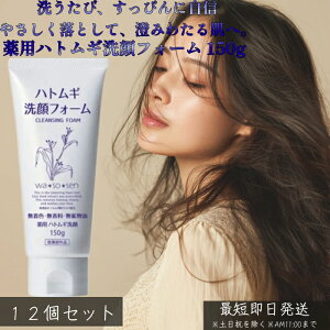 pngMtH[ 150g ×12Zbg 򕔊Oi jLr\h r\h ngMGLX pPA ZA  Ƃ ςȂ  fPA qɂg₷