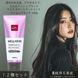 EG J[g[gg AbVubN 120g ×12Zbg ڂ wAJ[ g[gg C AbV c ݃J[ FC ZPA ŊȒP