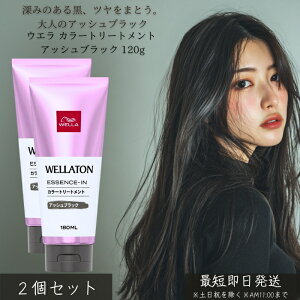 EG J[g[gg AbVubN 120g ×2Zbg ڂ wAJ[ g[gg C AbV c ݃J[ FC ZPA ŊȒP