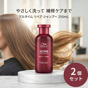 �T���R�[�� �A���^�C�� ���y�A �V�����v�[ 250mL ×2�Z�b�g �� �m���V���R�� �T�����ꔄ�i AHA�z�� �_���[�W�P�A �J���[�Ή�