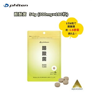 y䂤pPbgő!ws^zBwsz t@Ce(PHITEN)@_ہ@54g (300mg×180)ŜוǐՔԍL