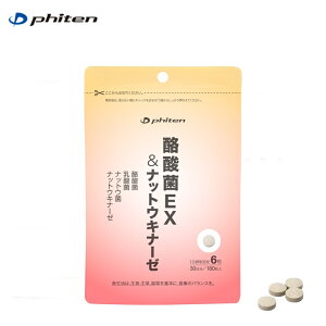 y䂤pPbgőS!ws^zBwszt@Ce(PHITEN)@_EX  ibgELi[[ 54g(300mg×180)×6Zbg ŜוǐՔԍL