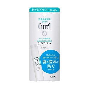�y��`�O�X�ւőS����������!��������w���s�^�z�B�����w��s�z�ԉ��@Curel (�L������) ���b�v�P�A�N���[�� 4.2g �y��򕔊O�i�z
