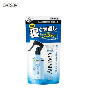 GATSBYiMcr[jQEH[^[ lւp@250ml