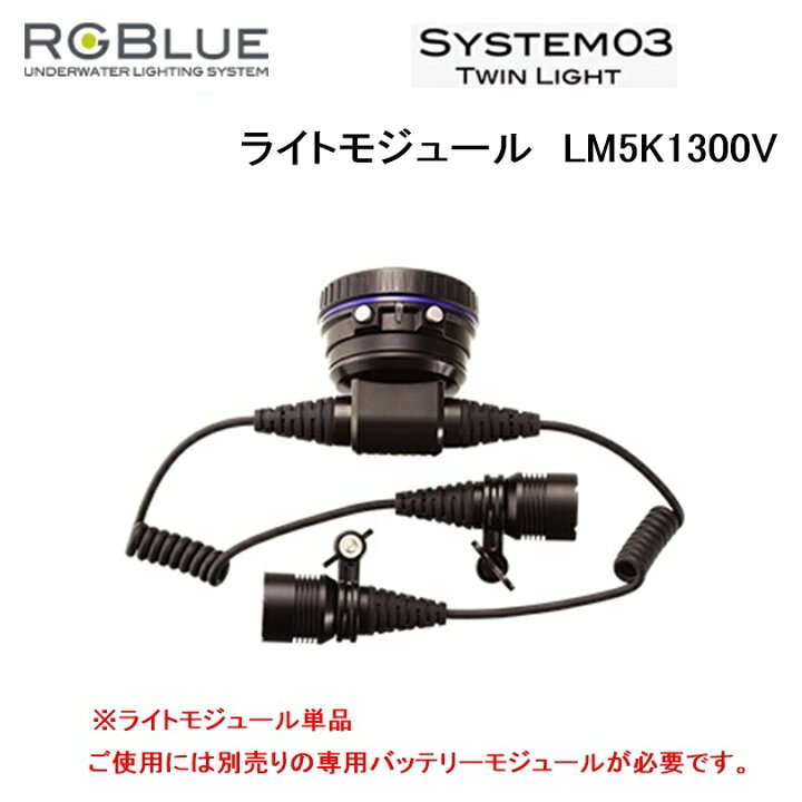 楽天市場】【送料無料！】RGBlue（アールジーブルー) ライトモジュール  