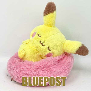 |PbgX^[ |P |Ps[X ₷t[cʂ sJ`EEECOւ͔syZ[z