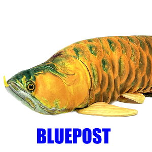 mTSTn[SK019]Ȃʂ݁yAiEzȃNvf[XEȂʂ݁ECOEւ͔s
