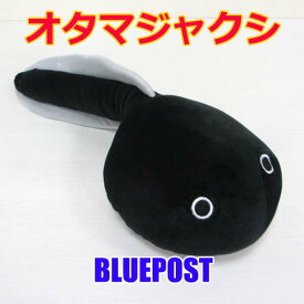楽天市場 オタマジャクシの通販