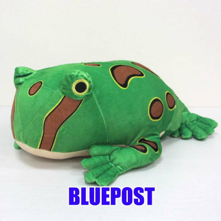 楽天市場 Tst St001 ふわふわぬいぐるみ ベルツノガエル カエルの大きなぬいぐるみ 約38センチ動物 かえるぬいぐるみ ｂｌｕｅ ｐｏｓｔ