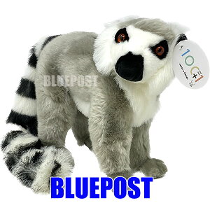 yI[^Z[zmTSTnmSM305nILclUiX^fBOj100+1-One hundred + your own-inhbg vX A IEj Aj} A ʂ