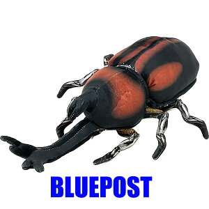 JugV SA048 TST ChOtB Jug ԂƂނ ʂ ECOEւ͔s