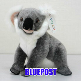 楽天市場 オーストラリア コアラ ぬいぐるみの通販