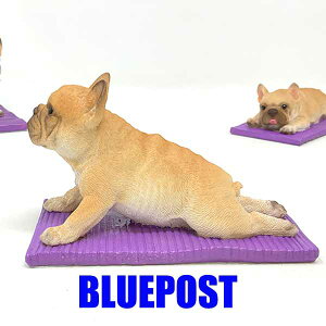 CeA E[rA u t`uhbO K rāFH23167[J[Fwoobia E[rAtu  tBMA G݃Aj} yZ[z