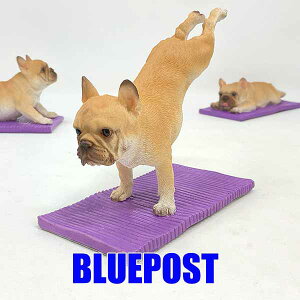 CeA E[rA u t`uhbO K tFH23193[J[Fwoobia E[rAtu  tBMA G݃Aj} yZ[z