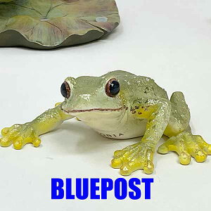 _݌Ɍ̃Z[ ^CeA E[rA u JG}OlbgFH23185EECOւ͔s[J[Fwoobia E[rA tBMA G݃Aj}yZ[z