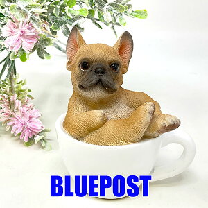 _݌Ɍ̃Z[ ^CeA E[rA u t`uhbO bNXt`uhbÕeB[JbvijFH17141EECOւ͔s[J[Fwoobia E[rA