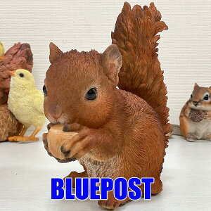 CeA E[rA u ڂHׂ郊XFH20186EECOւ͔s[J[Fwoobia E[rA tBMA G݃Aj}