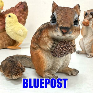 CeA E[rA u ڂ莝ĂV}XiEjFH20509EECOւ͔s[J[Fwoobia E[rA tBMA G݃Aj}