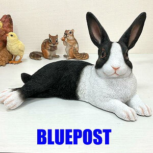 CeA E[rA u H22120FbNX  芰 EECOւ͔s[J[Fwoobia E[rA tBMA G݃Aj}