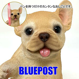 CeA E[rA u t`uhbO uVāFH23016[J[Fwoobia E[rAtu y yX^h  tBMA G݃Aj}