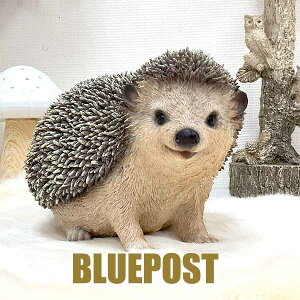 _݌Ɍ̃Z[ ^CeA E[rA u 悤 EnlY~FH20525-ZEECOւ͔s[J[Fwoobia E[rAtu  tBMA G݃Aj}