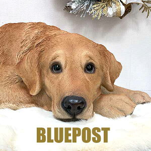 yzԂ͑ދȃgo[ H20537Ԃgo[ CeA E[rA u bsOsEECOւ͔s[J[Fwoobia E[rAgo[ t