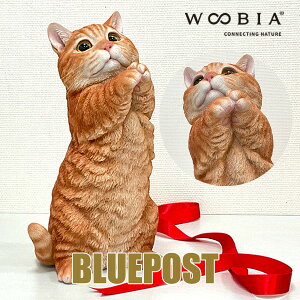 yzƂ}`J H24033 ˂}`JCeA E[rA u iE[rA nCGhLbgjEECOւ͔s[J[Fwoobia E[rA tB