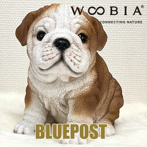 CeA E[rA u uhbOFH14062 woobiaEECOւ͔s[J[Fwoobia E[rA tBMA G݃Aj}