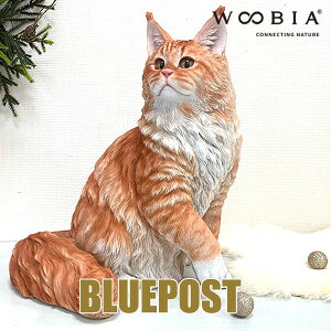 CeA E[rA u L CN[FH24115iE[rA nCGhLbgjEECOւ͔s[J[Fwoobia E[rA tBMA G݃Aj}