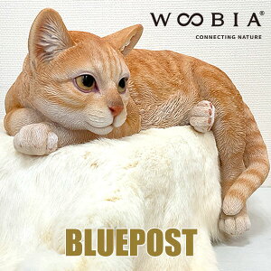 yzDɐQׂ閳ȔLFH16625-5-1 _[NrXPbgLCeA E[rA u EECOւ͔s[J[Fwoobia E[rAL  tBMA G݃A