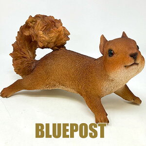 CeA E[rA u ͂V}XFH16695EECOւ͔s[J[Fwoobia E[rA tBMA G݃Aj}yZ[z