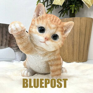 CeA E[rA u H18046-1FLp`gL EECOւ͔s[J[Fwoobia E[rA tBMA G݃Aj} L