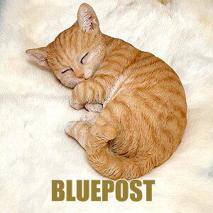 CeA E[rA u AjCg gLFH16829-1EECOւ͔s[J[Fwoobia E[rAtu  tBMA G݃Aj}