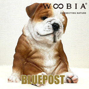 CeA E[rA u 肤QuhbOFH17127 woobiaEECOւ͔s[J[Fwoobia E[rA tBMA G݃Aj}