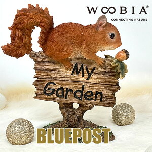 yz̓^V̂錾X̊ŔFH21292 X̃K[fŔCeA E[rA u EECOւ͔s[J[Fwoobia E[rA tBMA G݃Aj