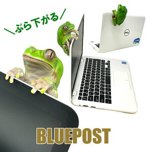 �y���������z���ł��A�i�^�����߂Ă�J�G���FH22008 ��������{�A�I�K�G�� �Ԃ炳����A�j�}���}�X�R�b�g�C���e���A �E�[�r�A �u��������E�����E�C�O�ւ͔����s���[�J�[�Fwoobia �E