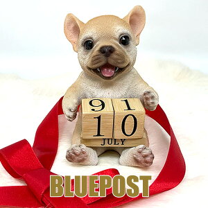 yzCeA E[rA u t`uhbO J_[FH23024[J[Fwoobia E[rAtu  tBMA G Aj} NJ_[ ivJ_[ ߂聦