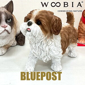 CeA E[rA u oV[Y[FH23327 woobiaEECOւ͔s[J[Fwoobia E[rA tBMA G݃Aj}