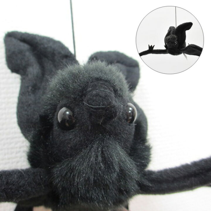 楽天市場 ハンサ 4793 コウモリ ブラック37hansa Black Bat Hangingこうもり バットhansa Hansa リアルな動物のぬいぐるみ店舗ディスプレイや撮影にいいかも 意外に顔がカワイイんですよ ｂｌｕｅ ｐｏｓｔ