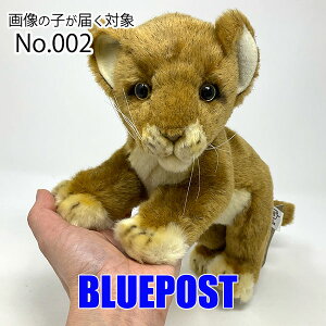 y摜̎q͂ΏۏizyԌEzmnTn[4995]yNo.002zCIiej-CI̐ԂHANSÃAȓʂ݂łBEECOւ͔s