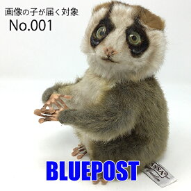 【画像の子が届く♪】［7043］【No.1】ハンサ スローロリス-slow loris-※JANコード紙製タグなし※hansa ぬいぐるみ HANSAのリアルな動物ぬいぐるみです。