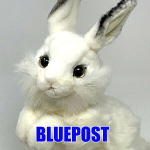 mnTnm3313nVETM-WHITE@RABBIT-ƂbɏoĂ悤ȂłBHANSÃAȓʂ݂łBETMErbgEECO͏