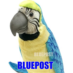 y݌ɌzyZ[zmnTnm3068nRSECRHANSÃAȓʂ݂łB