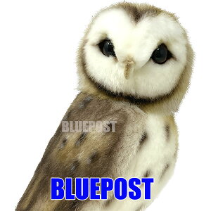 yztNE 27 BH7644 nT -BARN OWL-hansa  ʂ  ӂ낤 EECOւ͔s