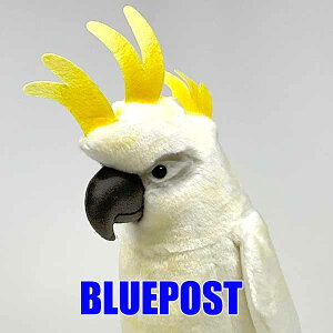 ^CnNIE 2654 nT -White Cockatoo-WIE L`i肷Ƃ낪IHANSÃAȓʂ݂łBEECOւ͔s